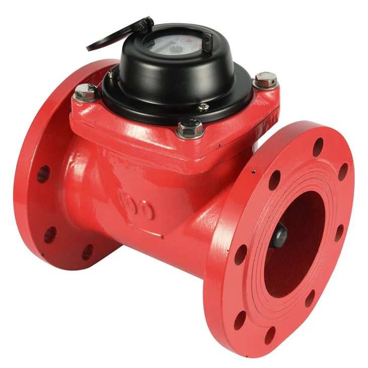 Woltman Type Watermeter